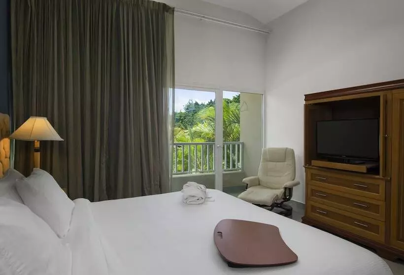 Fotos del hotel Hodelpa Garden Suites:  29