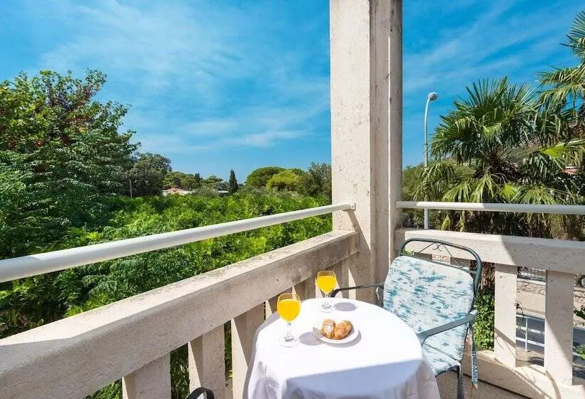 Fotos del hotel Komodor:  5