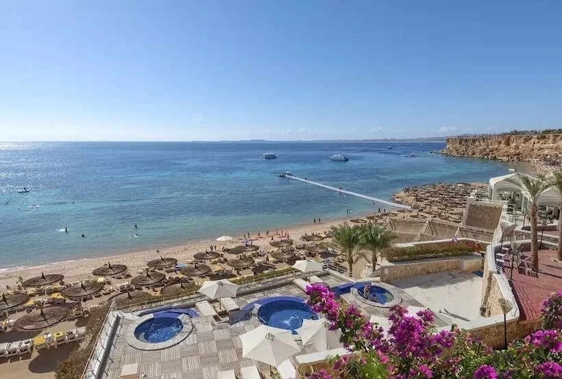 Fotos del hotel Reef Oasis Beach Resort:  12