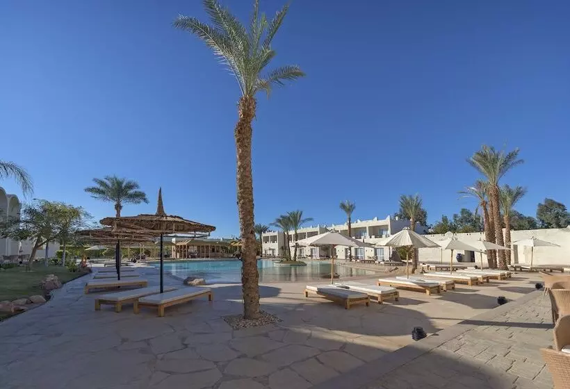 Fotos del hotel Reef Oasis Beach Resort:  22