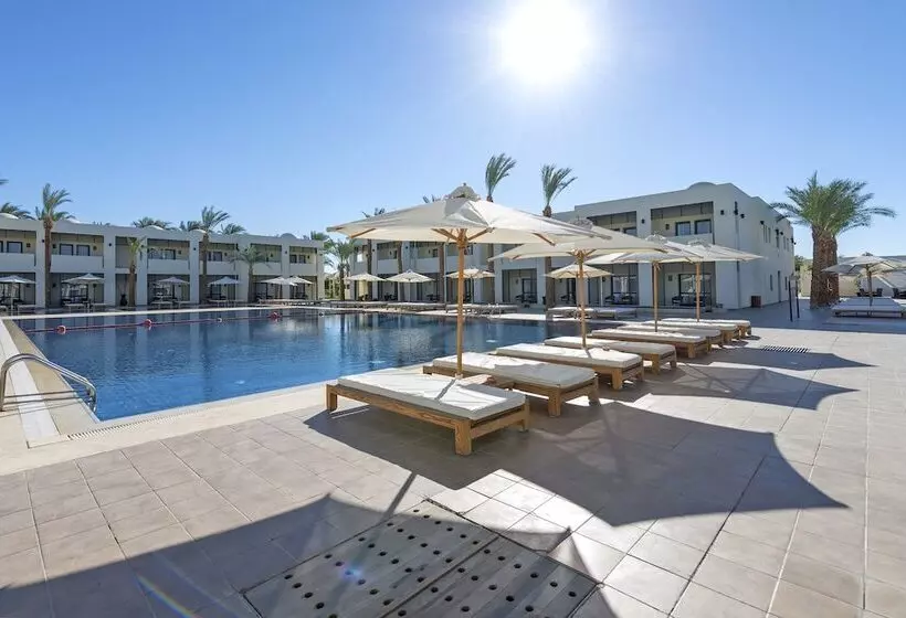 Fotos del hotel Reef Oasis Beach Resort:  24