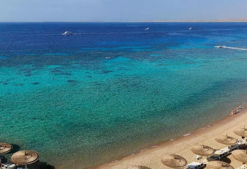 Fotos del hotel Reef Oasis Beach Resort:  15