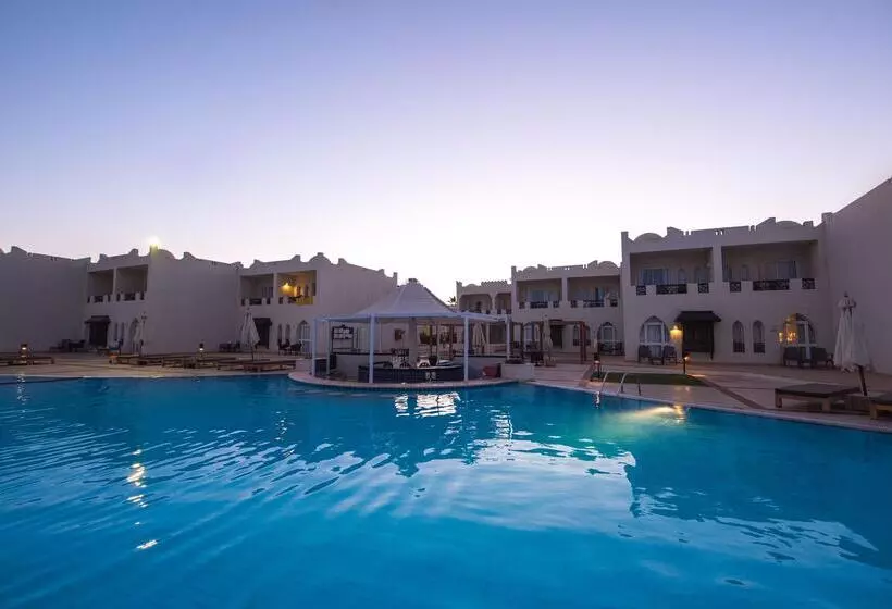 Fotos del hotel Reef Oasis Beach Resort:  13