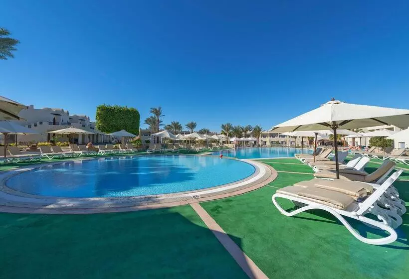 Fotos del hotel Reef Oasis Beach Resort:  16