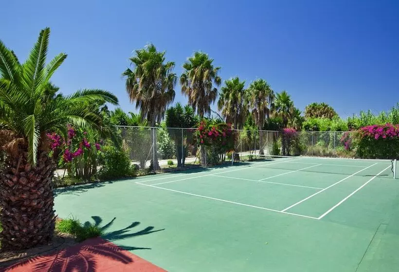 Fotos del hotel Apollon:  13