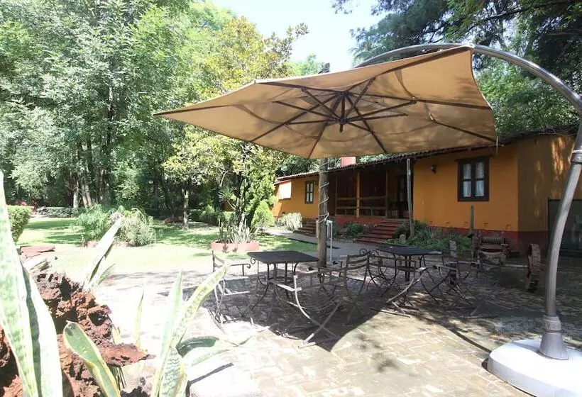 Fotos del hotel El Marques Hacienda:  21