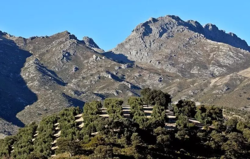 Fotos del hotel Huerta De Las Palomas:  5