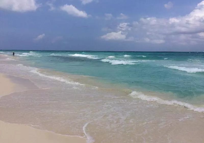 Fotos del hotel Las Golondrinas:  9