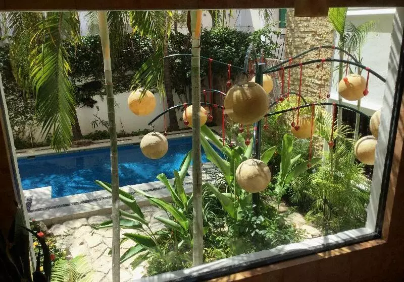 Fotos del hotel Las Golondrinas:  21