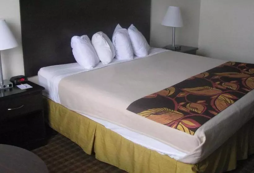 Fotos del hotel Ramada Plaza Resort & Suites By Wyndham Orlando Intl Drive:  21