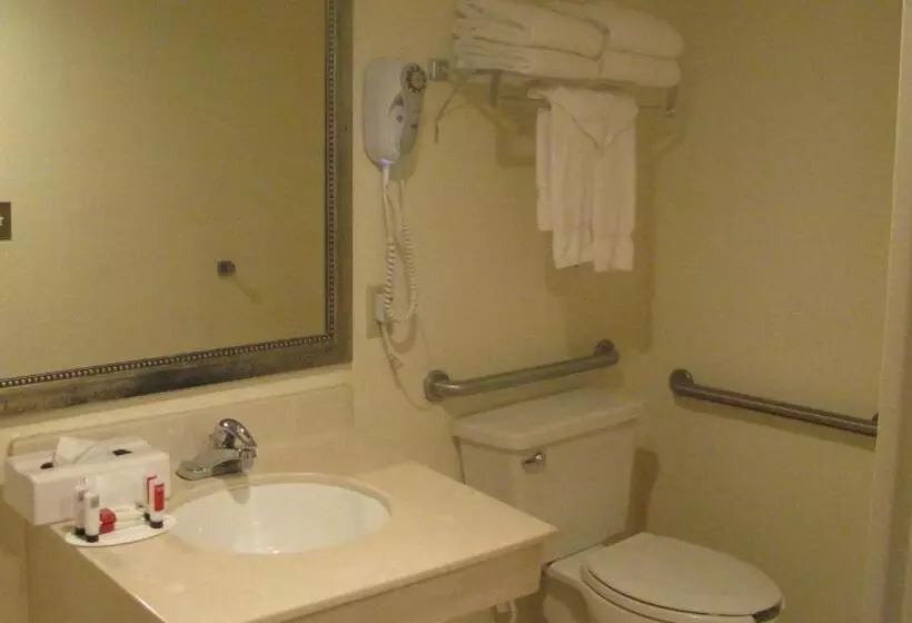 Fotos del hotel Ramada Plaza Resort & Suites By Wyndham Orlando Intl Drive:  9