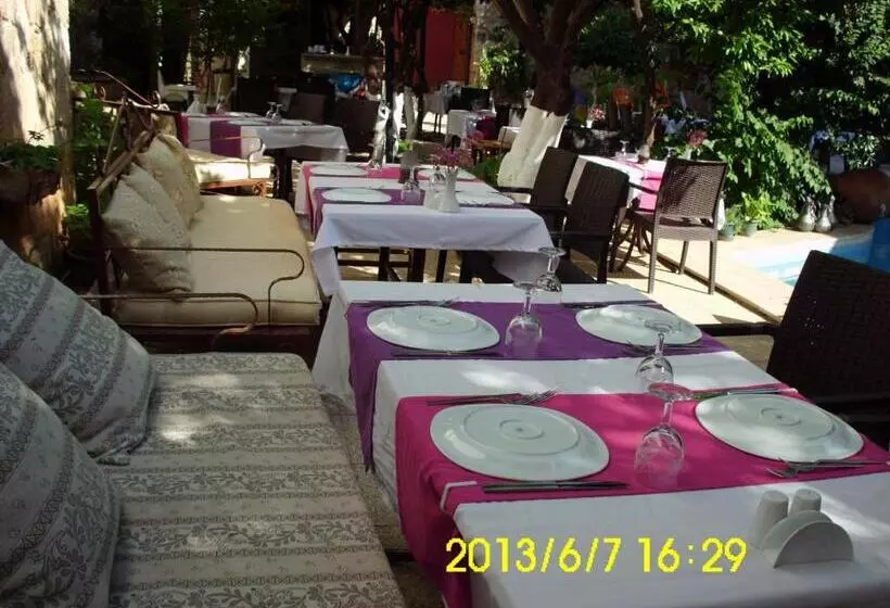 Fotos del hotel Villa Perla   Special Class:  16