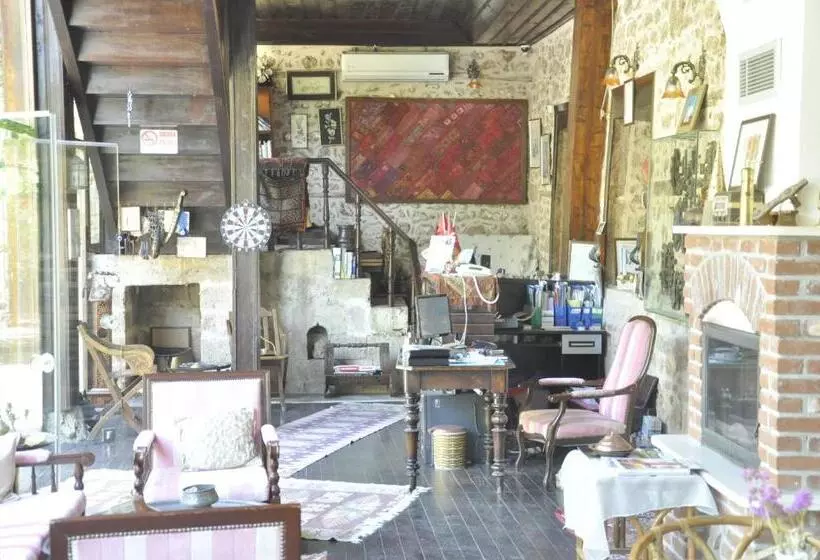 Villa Perla   Special Class