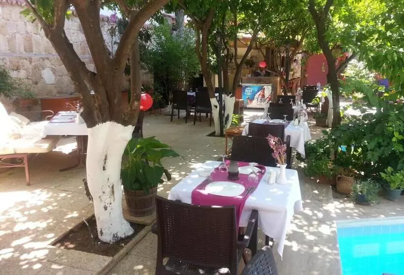 Fotos del hotel Villa Perla   Special Class:  21