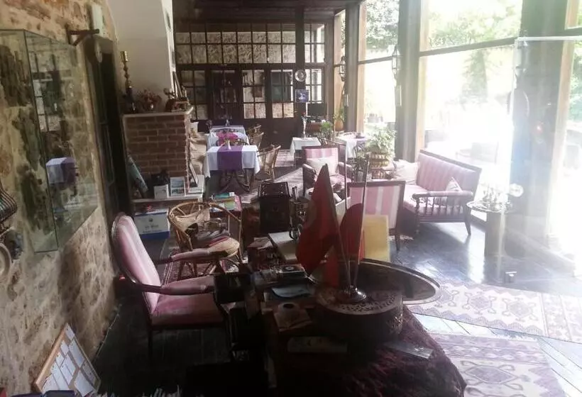 Fotos del hotel Villa Perla   Special Class:  9