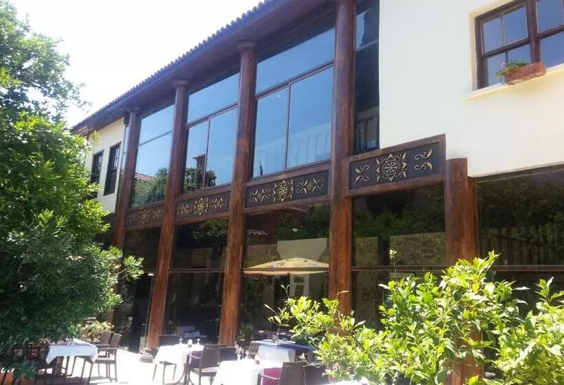 Fotos del hotel Villa Perla   Special Class:  24