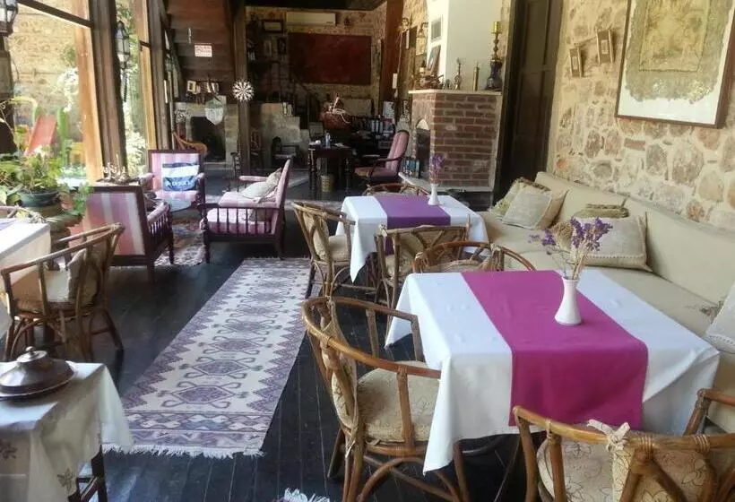 Fotos del hotel Villa Perla   Special Class:  11