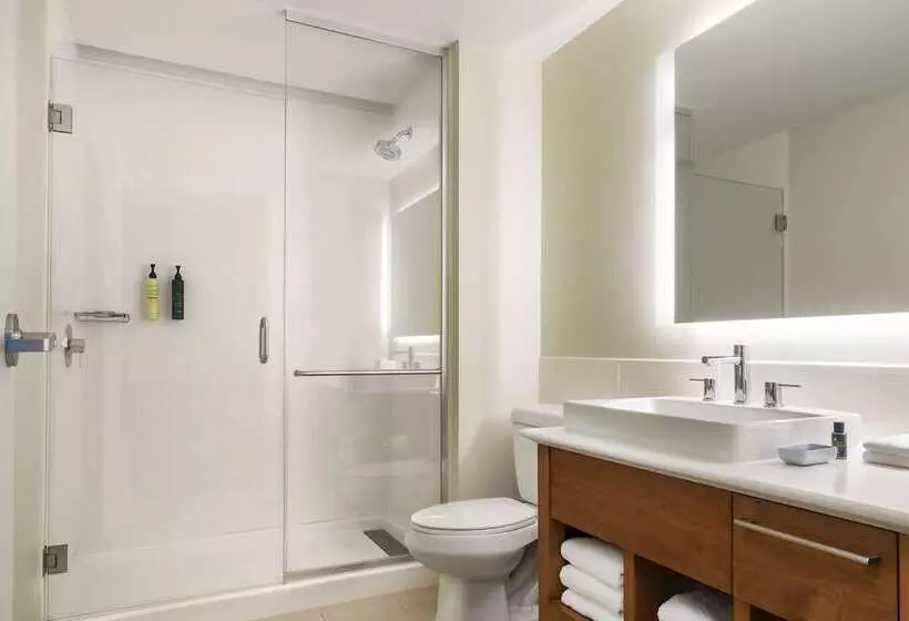 Fotos del hotel Element Orlando International Drive:  6