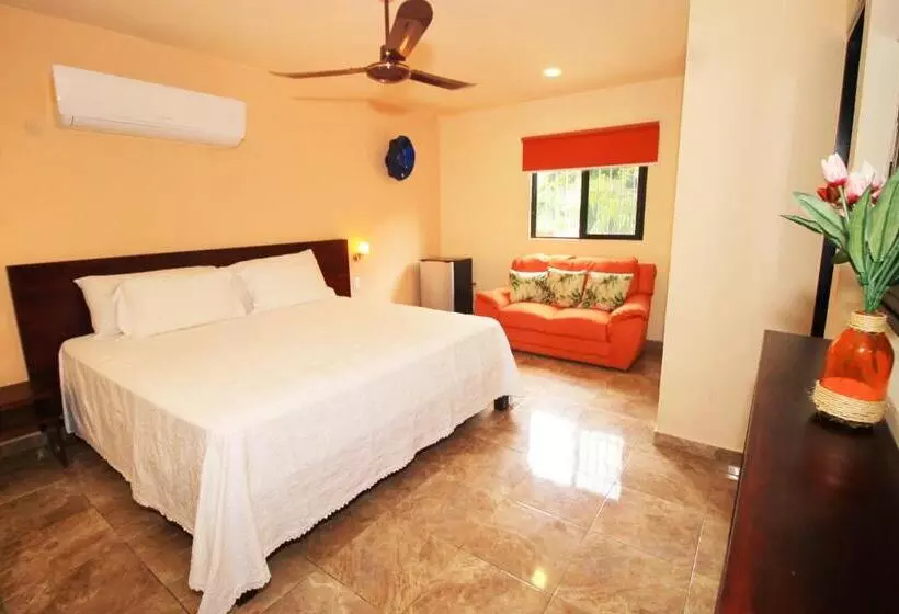 Fotos del hotel Papagayo  Boutique:  18