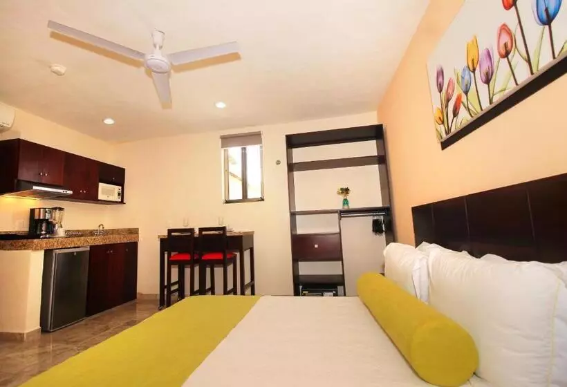 Fotos del hotel Papagayo  Boutique:  20