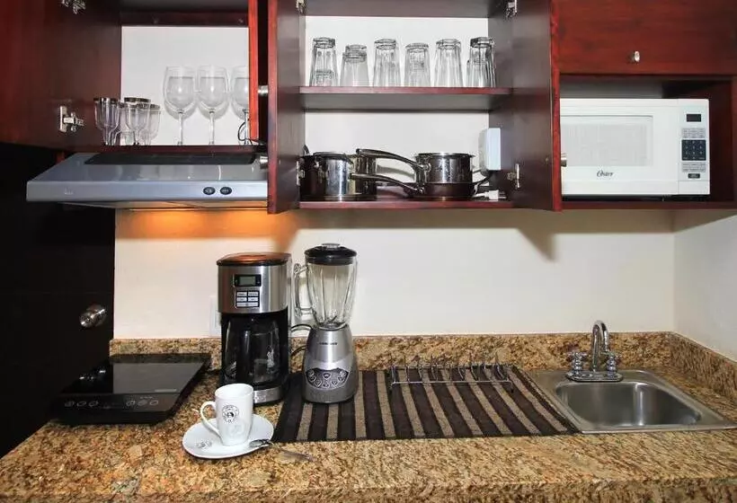 Fotos del hotel Papagayo  Boutique:  11