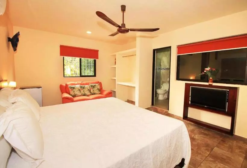 Fotos del hotel Papagayo  Boutique:  25