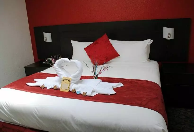 Fotos del hotel Da Vinci Villa:  18