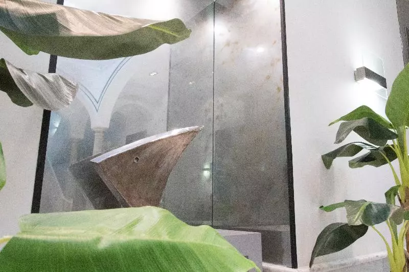 Fotos del hotel Petit Palace Santa Cruz:  12