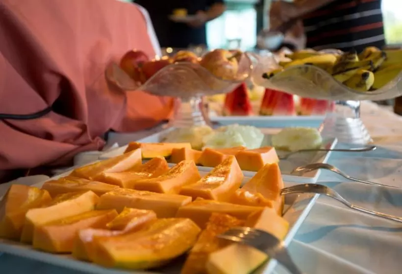 Fotos del hotel Atlantico Sul:  16