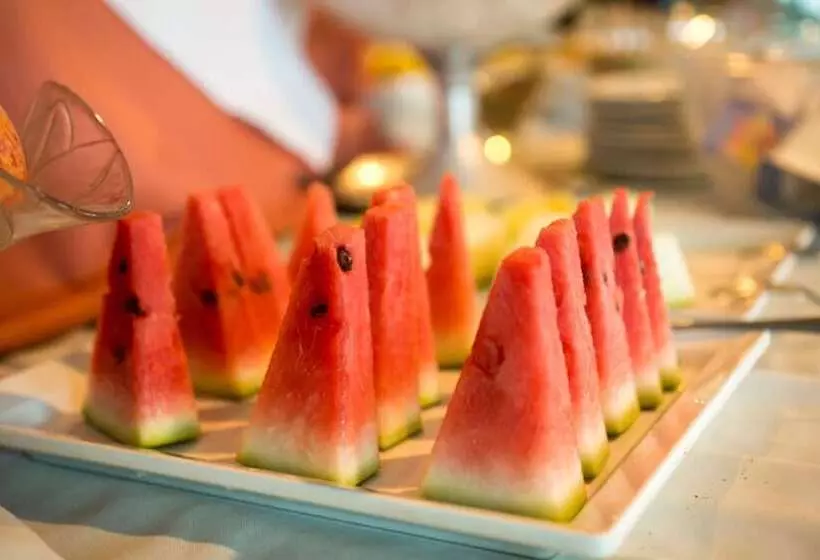 Fotos del hotel Atlantico Sul:  6