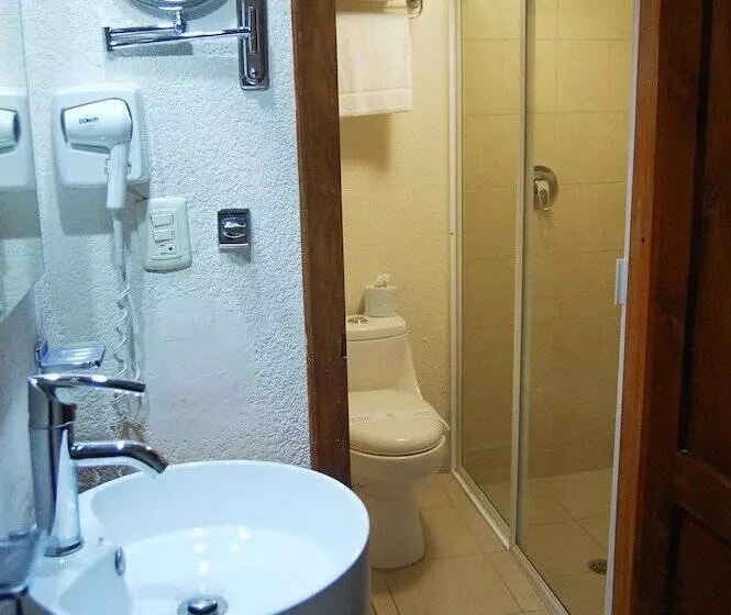 Fotos del hotel Mansion Del Valle:  7