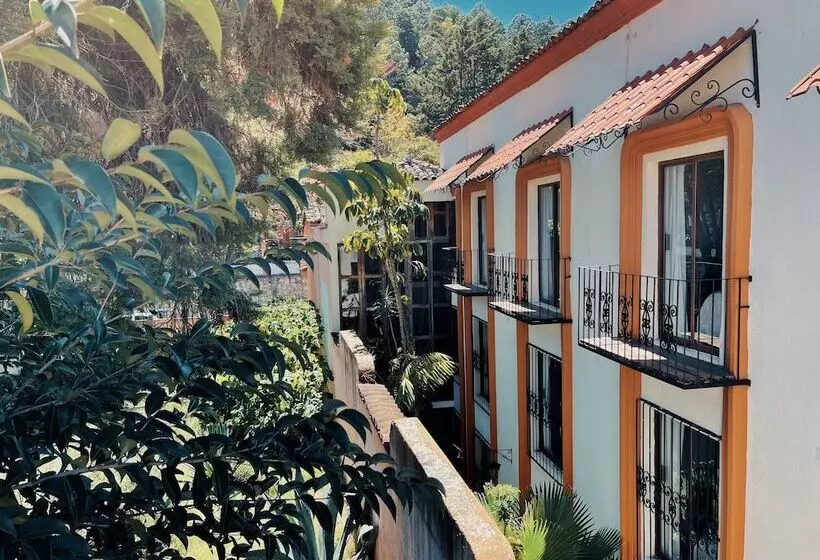 Fotos del hotel Mansion Del Valle:  20