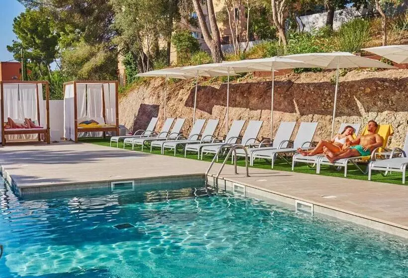 Bq Bulevar Peguera Adults Only