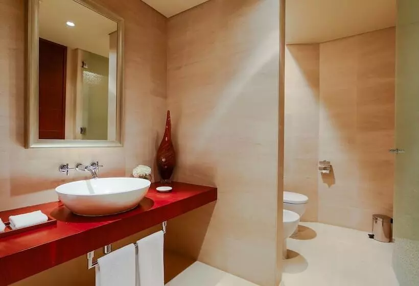Fotos del hotel Park Hyatt Dubai:  13