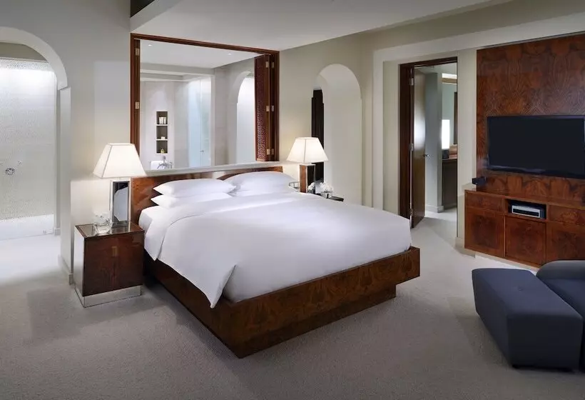 Fotos del hotel Park Hyatt Dubai:  44