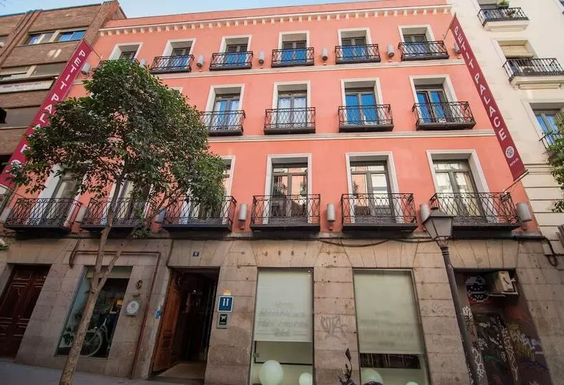 Fotos del hotel Petit Palace Tres Cruces:  7