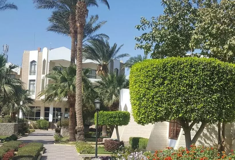 Fotos del hotel Zya Regina Resort And Aqua Park Hurghada:  21