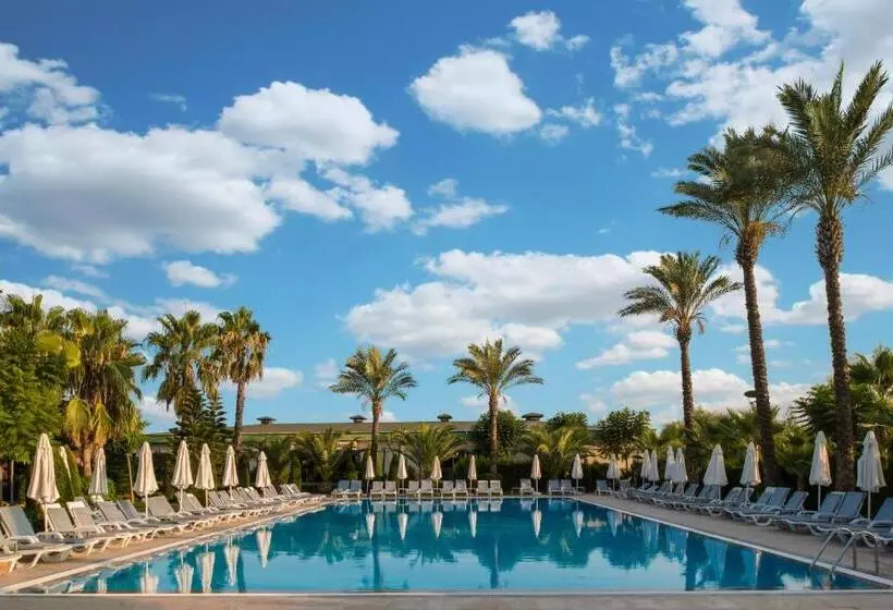 Delphin Diva Premiere