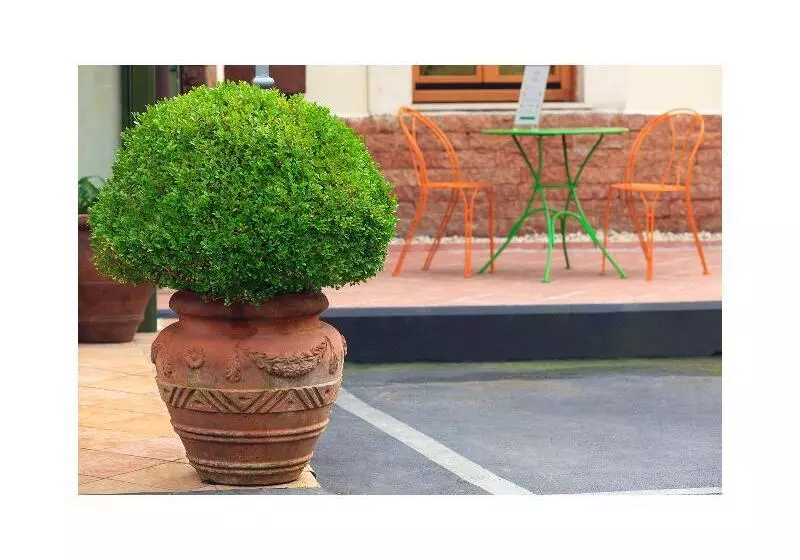 Fotos del hotel Eurogarden:  7