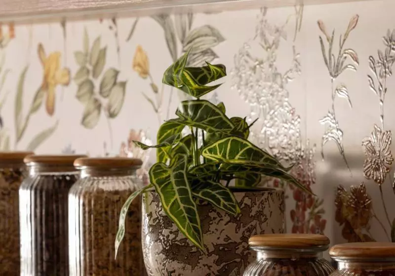 Fotos del hotel Maxim Opéra:  5