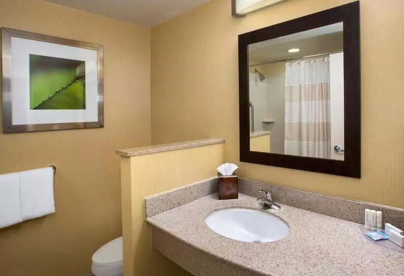 Fotos del hotel Courtyard Boston-south Boston:  7