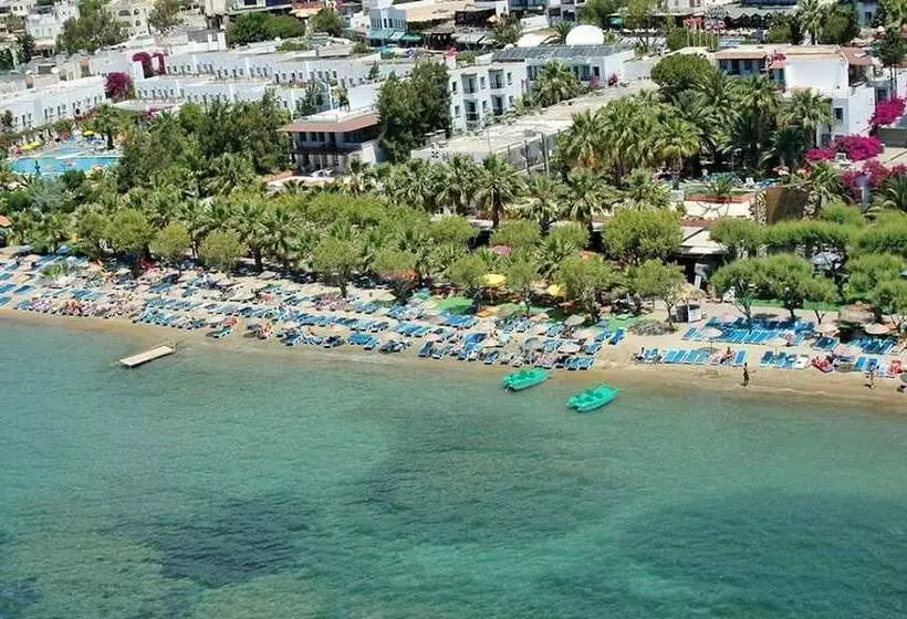 Fotos del hotel Sun Beach Resort Hotel  All Inclusive:  5