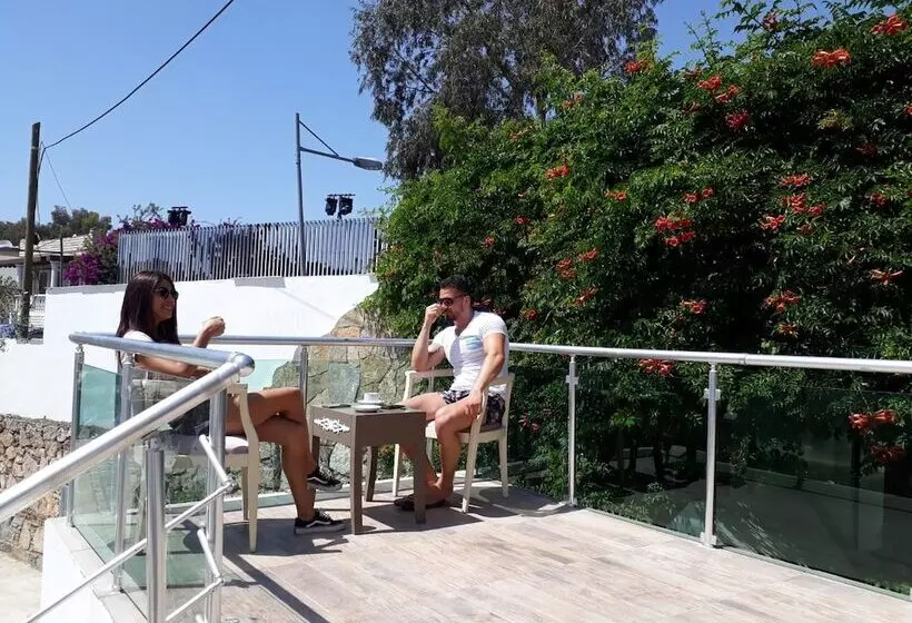 Fotos del hotel Sun Beach Resort Hotel  All Inclusive:  8