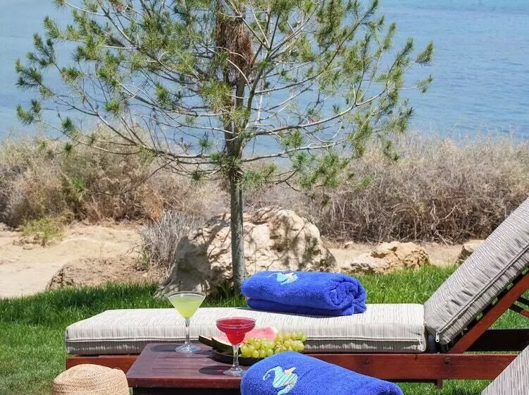 Fotos del hotel Coral Thalassa:  25