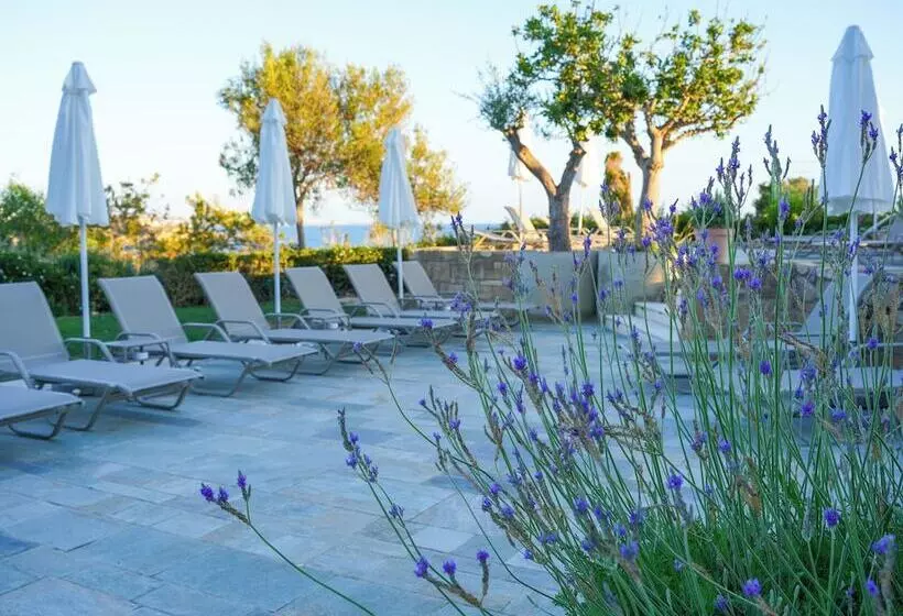 Fotos del hotel Coral Thalassa:  22