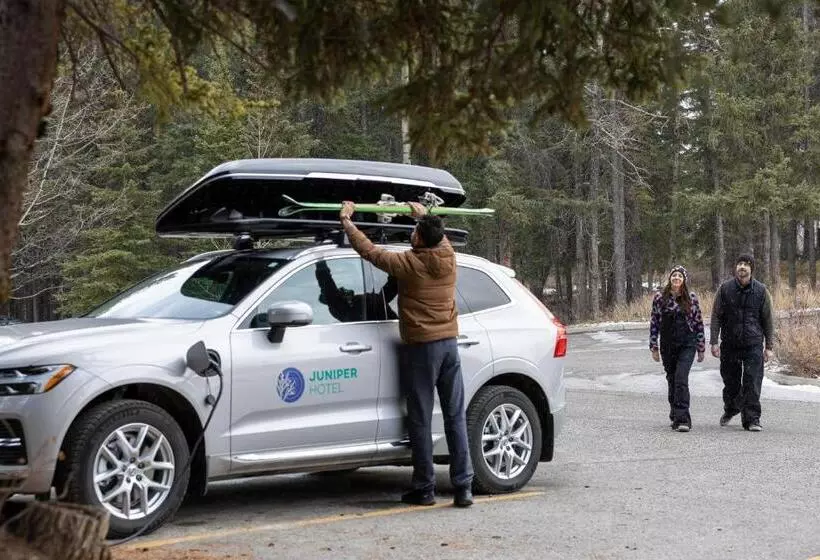 Fotos del hotel The Juniper:  5