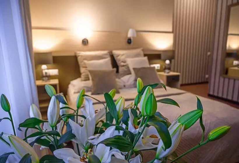 Fotos del hotel Kazimierz Ii:  24