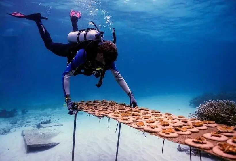 Fotos del hotel Tortuga Bay:  4