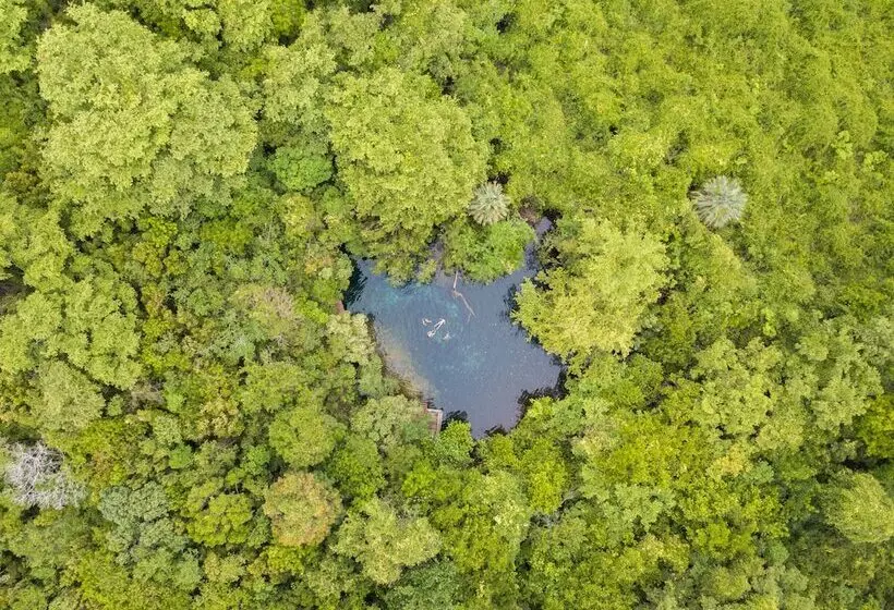 Fotos del hotel Tortuga Bay:  21