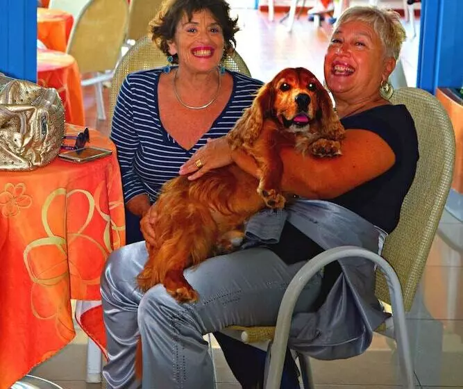 Fotos del hotel Atlantic:  8